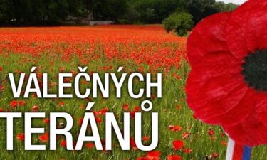 Vlčí máky pro veterány, sbírka