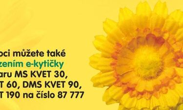 Český den proti rakovině - i letos žluté kytičky v knihovně