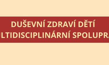 PIAFA Vyškov – Duševní zdraví dětí a multidisciplinární spolupráce – kulatý stůl – diskuse