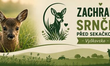 Zachraň srnče před sekačkou - aktuálně zařazujeme!