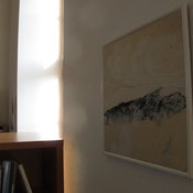 Fotografie 10820