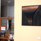 Fotografie 10815