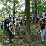 Fotografie 14850