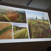 Fotografie 14785