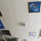 Fotografie 11517