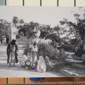 Fotografie 12195