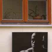 Fotografie 10182