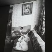 Fotografie 11884