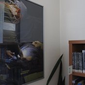 Fotografie 10021