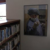 Fotografie 10020