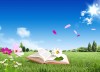 reading