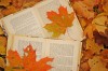 153832__pictures-autumn-leaves-maple-books_p