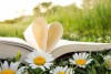 booksspring