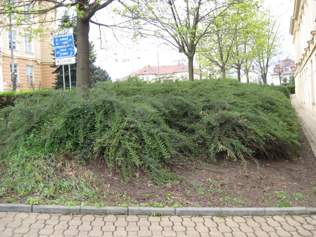 20160414_uklid_6